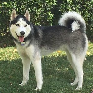 Meet your Posher, Lori